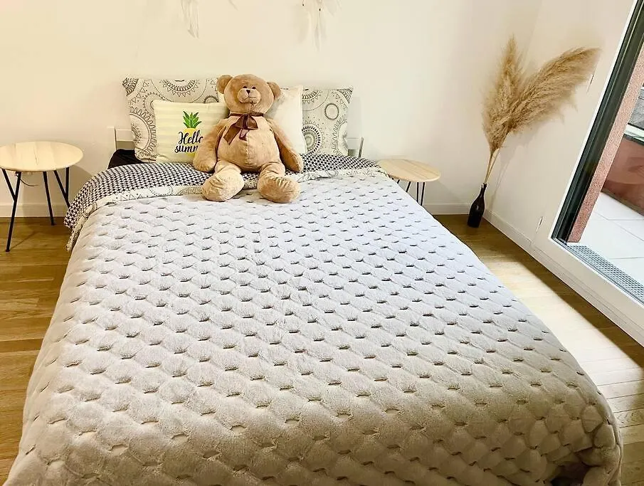 Apartment Cosy And Spacious Appartement Near Metro Line 4 & Rer B Bagneux